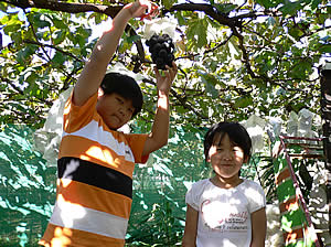 �Ⴂ�I�ł͂��q�l�����N���N