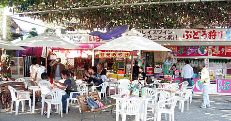 �x�e���ł̊����Ȃ��玎�H