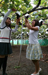 �傫���̌��`���I�I�I