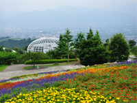 �J����t���[�c����