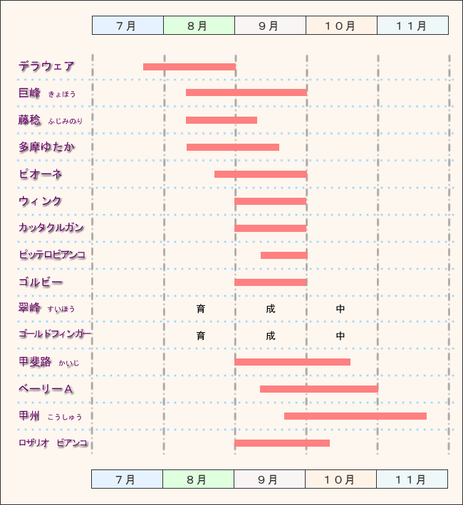 �Ԃǂ���ޕʐH�ׂ���J�����_�[